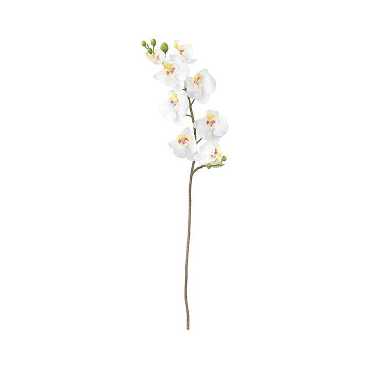 شاخه گل ارکیده سفید ایکیا مدل SMYCKA سایز 60 سانتی متری کد 803.335.85